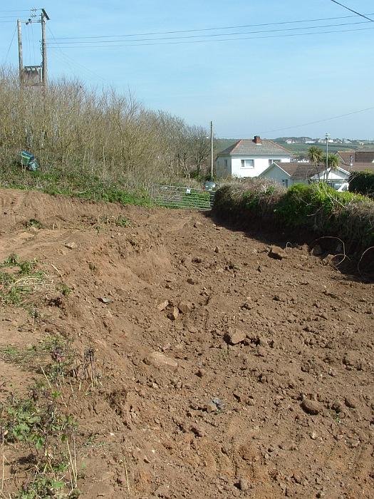 4 Digging Starts (25)